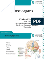 Sense Organs PDF
