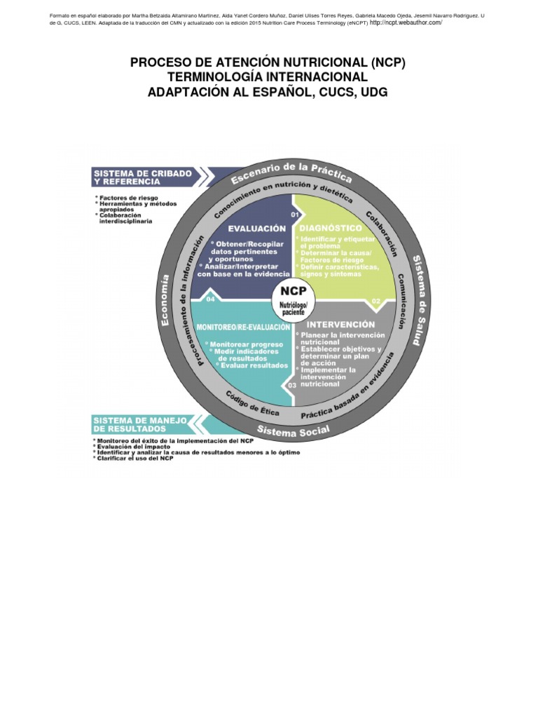 SERVICIOS DE INFORMACION NCP visual data 2