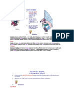 Adjectifs Possessifs