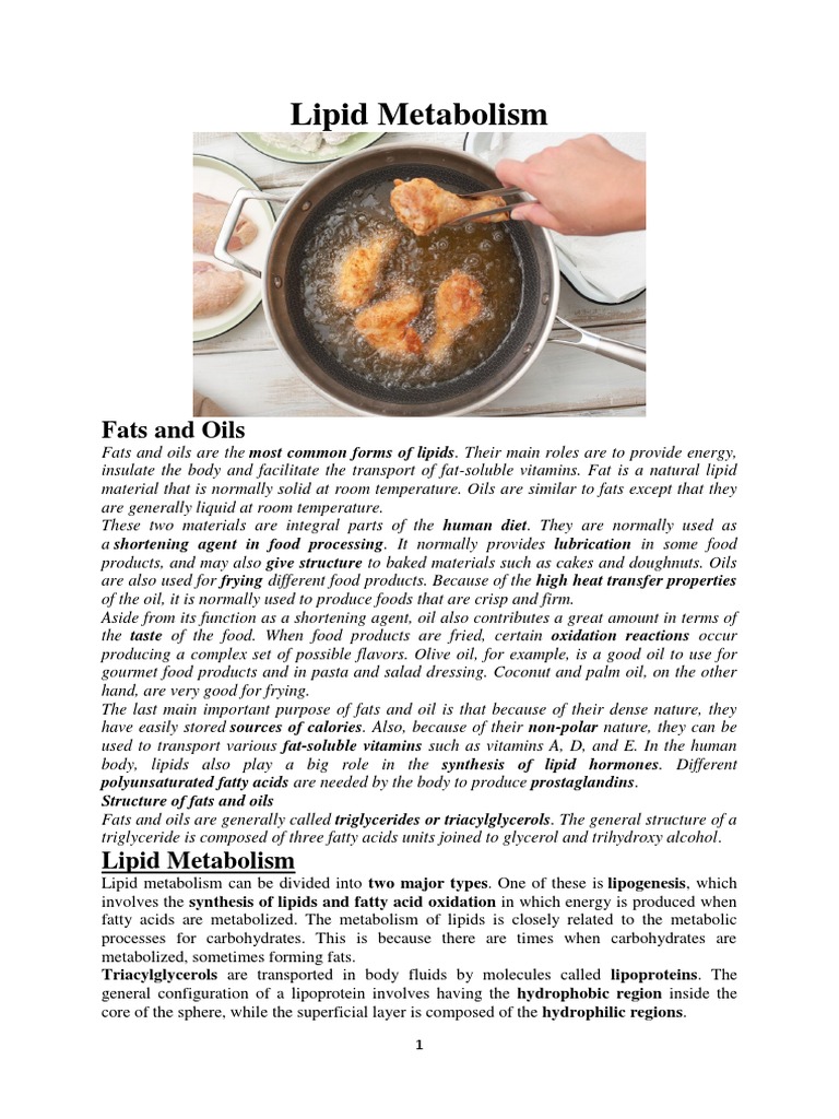 Lipid Metabolism and Fatty Acid Oxidation | PDF | Lipid | Fatty Acid