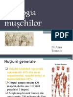 fiziologia muschilor.Point Presentation (1).pptx