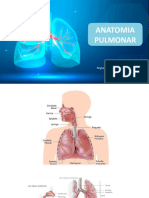 Anatatomia e Fisiologia Pulmonar