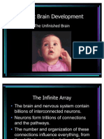 Infant Brain Development 1