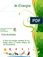 Aula8anofluxodeenergia 120318150528 Phpapp02 PDF