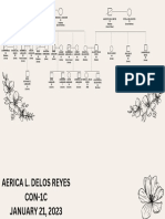 Family Health History Tree