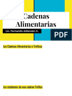 Cadenas Alimentarias PDF
