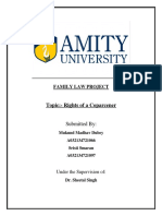 Family Law Project