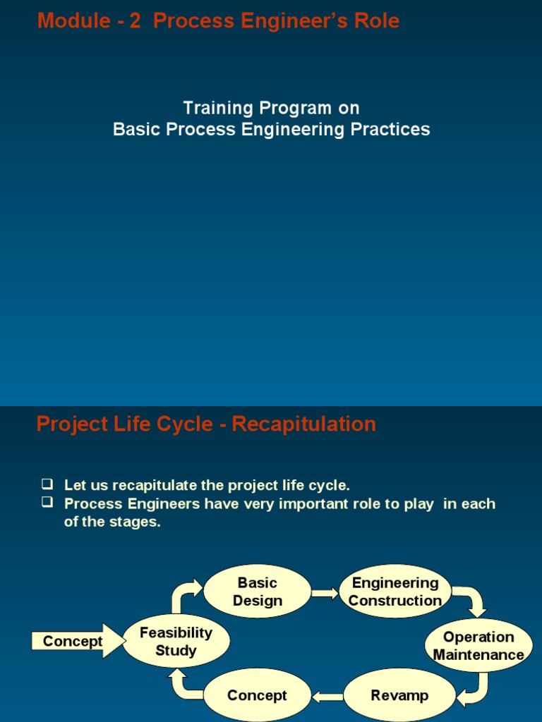 Process Engineer Role | PDF | Chemical Reactor | Chemical Engineering