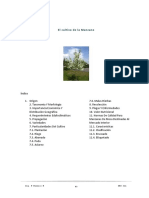 5 Cultvo de Manzano (1).pdf