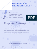 Morfologi dan reproduksi fungi (KELOMPOK 1).pptx