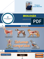 T17 - Sistemas Comparados en Animales-Grupo Pitagoras