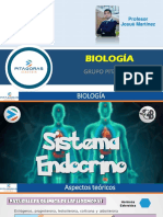 T21 - Sistema Endocrino-Grupo Pitagoras