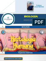 T22 - Histología Humana-Grupo Pitagoras