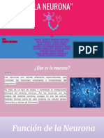 "La Neurona" PDF