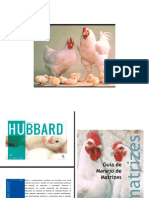 Fatos sobre produção de frangos de corte