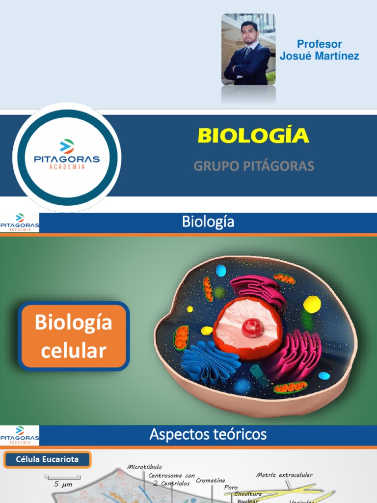 Estructura y Función de la Célula Eucariota | PDF | Biología Celular ...