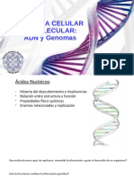 1 BCYM Clase ADN-Genomas v1 PDF