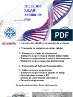 9 Teórica Tráfico de Proteínas PDF