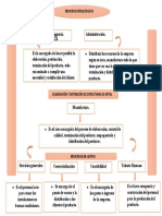 Mapa de Procesos 2