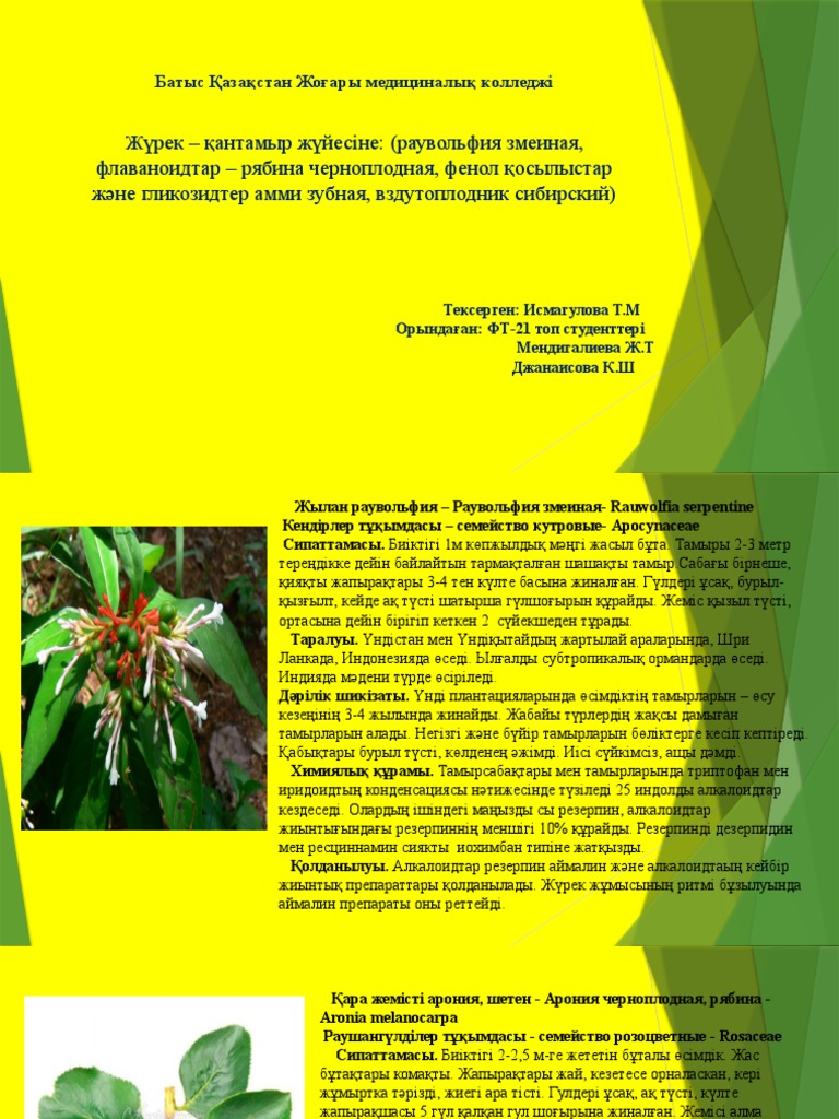 Жалаңаш және жемісті