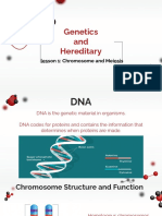 Genetics