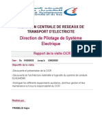 Rapport Visite CICR PDF