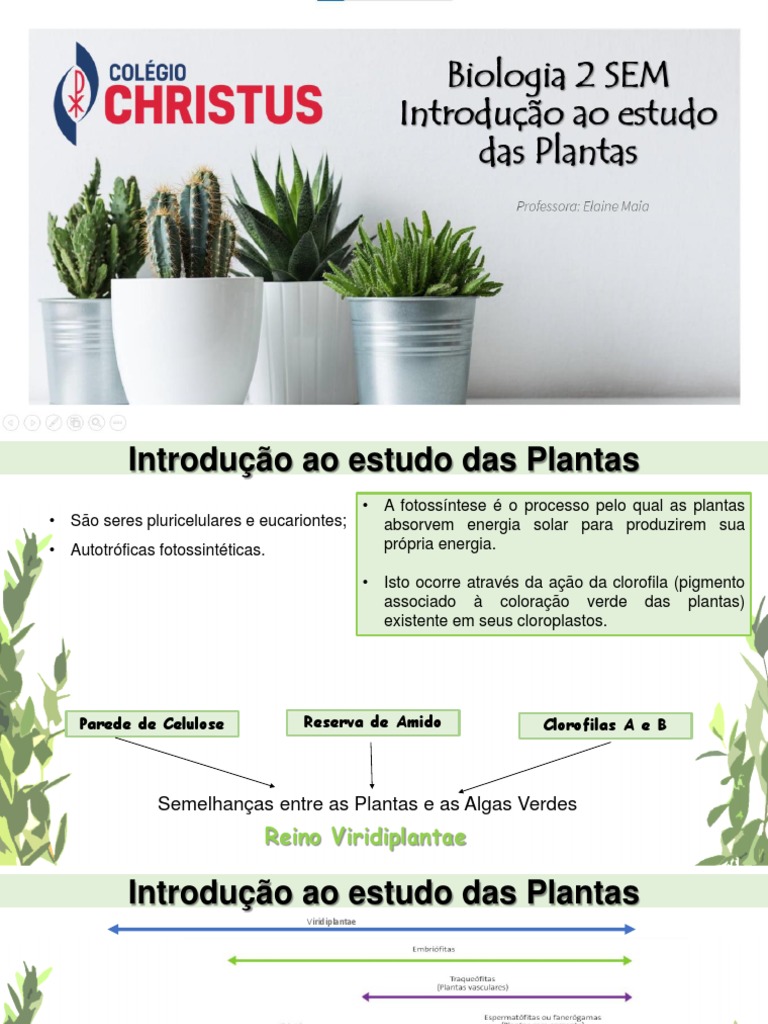 Introdução ao Estudo das Plantas | PDF | Plantas | Musgo