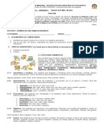 Categorías gramaticales y lectura