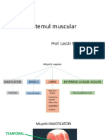 Sistemul Muscularprezentarefara Parola