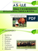 Bienestar Animal Ba PDF