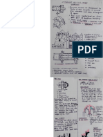 Romansque PDF