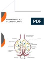 Patologia Glomerular