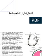 6 Pericardul.ppt
