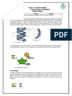 Guia Acidos Nucleicos (ADN)