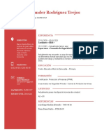 Curriculum Alex PDF