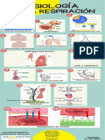 Sistema Respiratorio