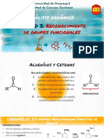 3.3 Pruebas de Identificación - Aldehídos y Cetonas PDF