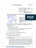 Apelación Cargo PDF