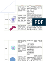 Organelos de La Célula Eucariota