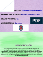 Final Presentacion-Laboral PDF