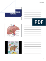 Pruebas de Funcion Hepatica