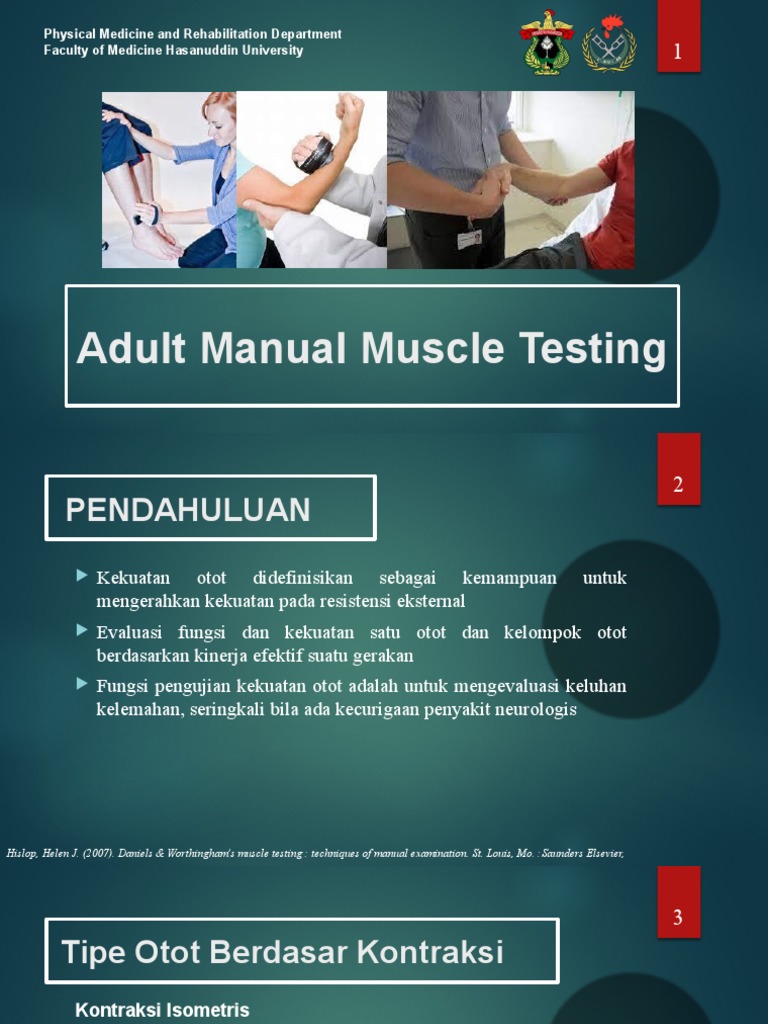 Manual Muscle Testing | PDF