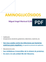 AMINOGLUCÓSIDOS