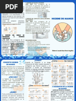 5 Momentos Clave del Lavado de Manos | PDF | Lavado de manos | Higiene