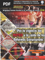 Documento Orientador Brigadeo Estatal 2018