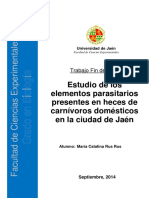 TFG RusRusMaríaCatalina PDF