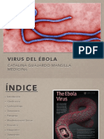 Virusdelebola 141030211745 Conversion Gate01 PDF