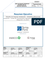 Resumen Ejecutivo EIA PDF