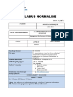 Syllabus Management Des SI Master 1 M. NDOYE Senior IT