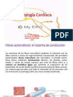 Fisiología Cardíaca: Sistema de Conducción